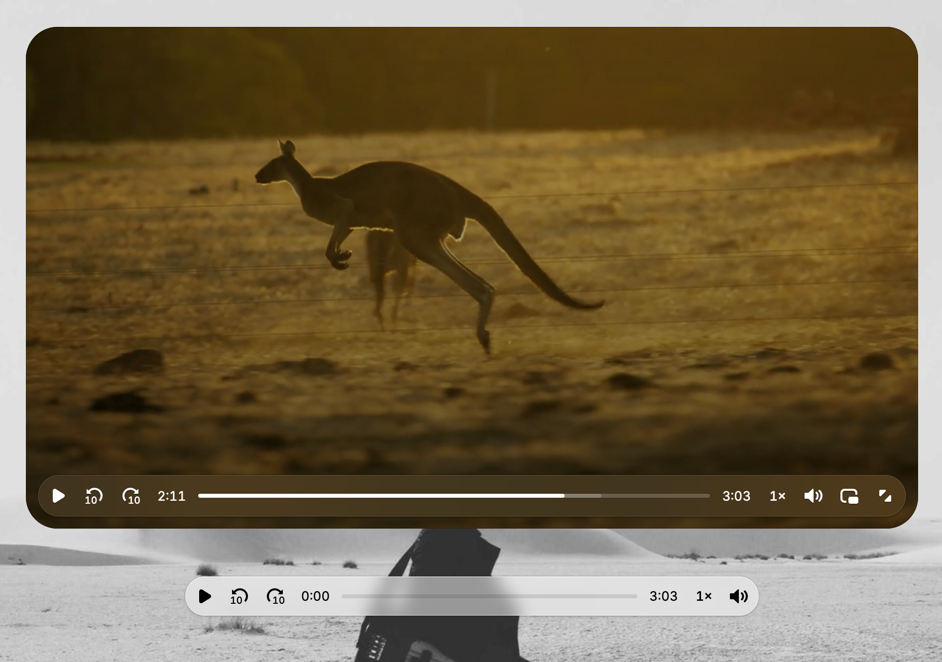 Default audio skin